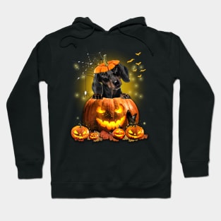 Black Dachshund Spooky Halloween Pumpkin Dog Head Hoodie